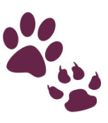 icon_pets_paw-print-solid-0001.png