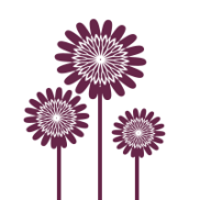 daisies icon