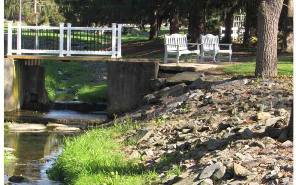 Beautiful Stream on SARC Campus