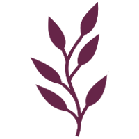 branch with leaves