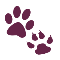 Pet Paw Prints